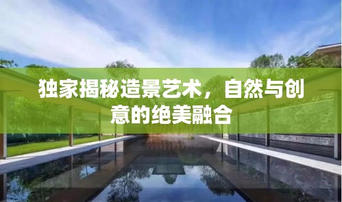 独家揭秘造景艺术，自然与创意的绝美融合