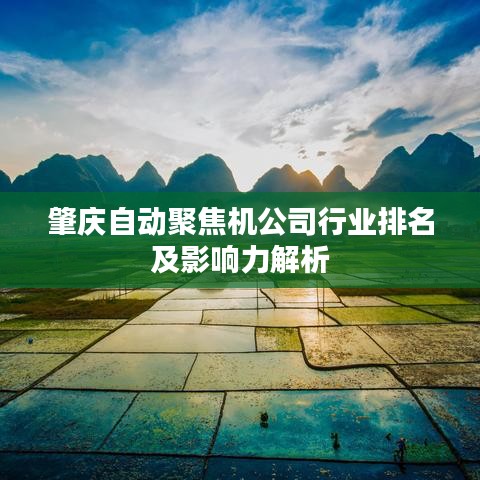 肇庆自动聚焦机公司行业排名及影响力解析