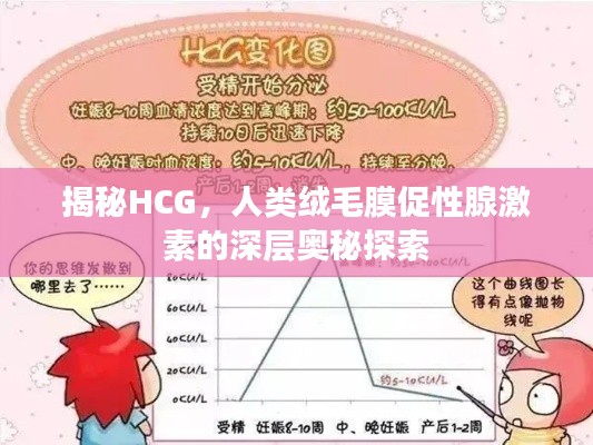 揭秘HCG，人类绒毛膜促性腺激素的深层奥秘探索