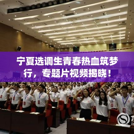 宁夏选调生青春热血筑梦行，专题片视频揭晓！