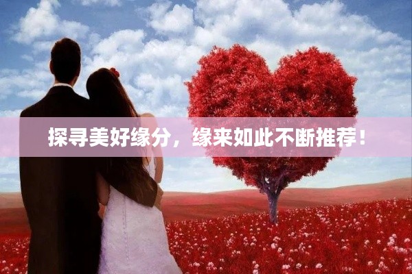 探寻美好缘分，缘来如此不断推荐！