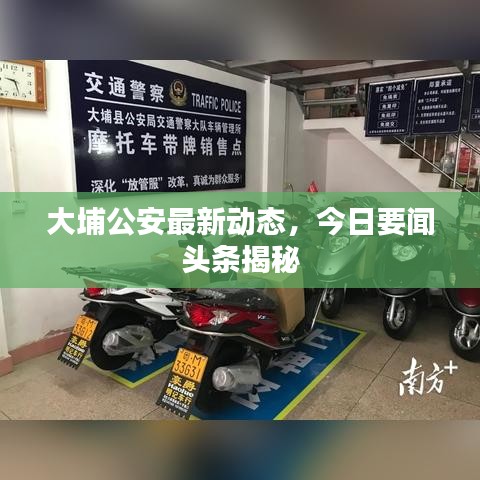 大埔公安最新动态，今日要闻头条揭秘