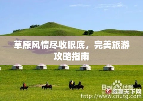 草原风情尽收眼底，完美旅游攻略指南