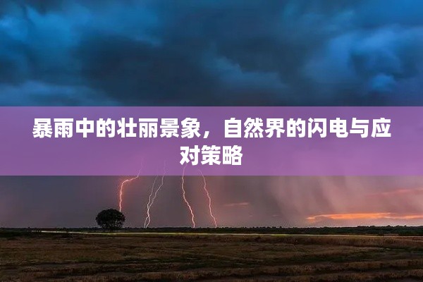 暴雨中的壮丽景象，自然界的闪电与应对策略