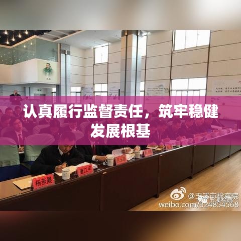认真履行监督责任，筑牢稳健发展根基