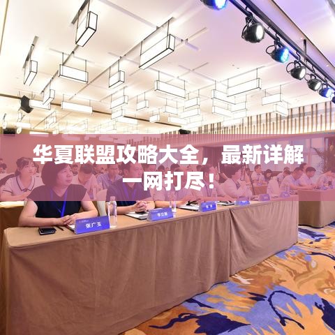 华夏联盟攻略大全，最新详解一网打尽！