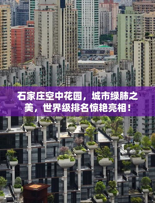 石家庄空中花园，城市绿肺之美，世界级排名惊艳亮相！