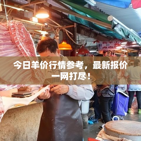 今日羊价行情参考，最新报价一网打尽！