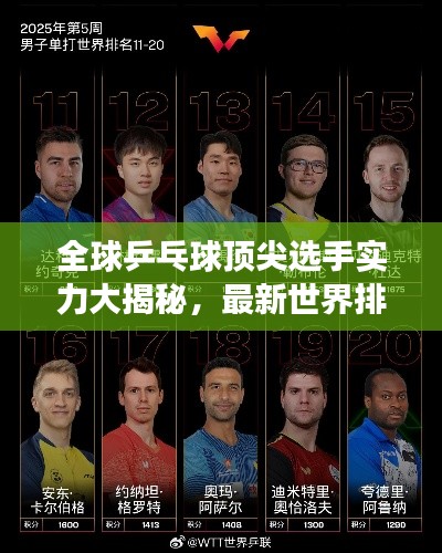 全球乒乓球顶尖选手实力大揭秘，最新世界排名榜单重磅出炉！