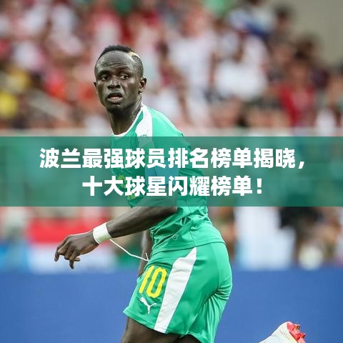 波兰最强球员排名榜单揭晓，十大球星闪耀榜单！