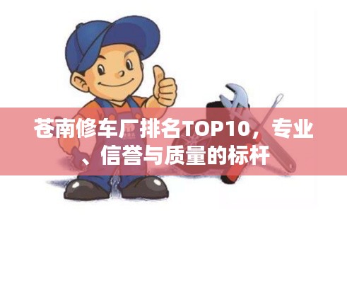 苍南修车厂排名TOP10，专业、信誉与质量的标杆