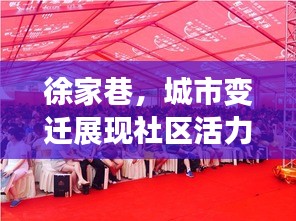 徐家巷，城市变迁展现社区活力，新闻头条瞩目之地