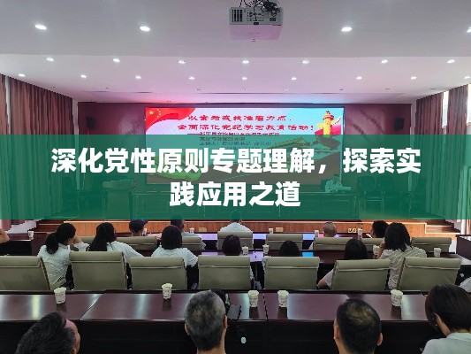 深化党性原则专题理解，探索实践应用之道