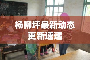 杨柳坪最新动态更新速递