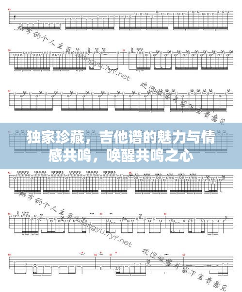 独家珍藏，吉他谱的魅力与情感共鸣，唤醒共鸣之心