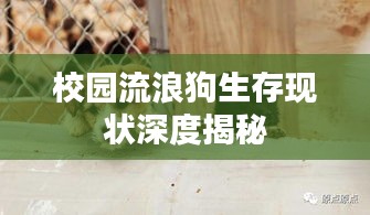铺张扬厉 第2页