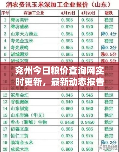 兖州今日粮价查询网实时更新，最新动态报告出炉！