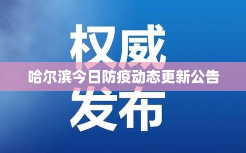 哈尔滨今日防疫动态更新公告