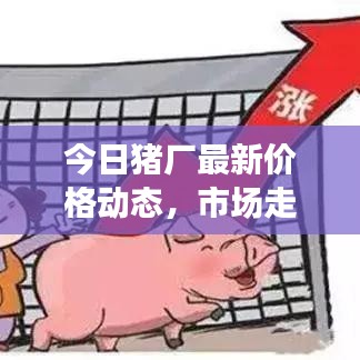 今日猪厂最新价格动态，市场走势深度分析与预测报告