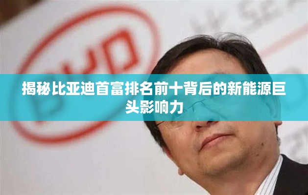 揭秘比亚迪首富排名前十背后的新能源巨头影响力