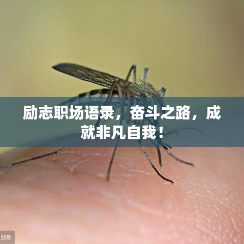励志职场语录，奋斗之路，成就非凡自我！