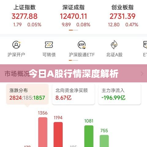 今日A股行情深度解析