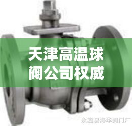 屦贱踊贵 第2页