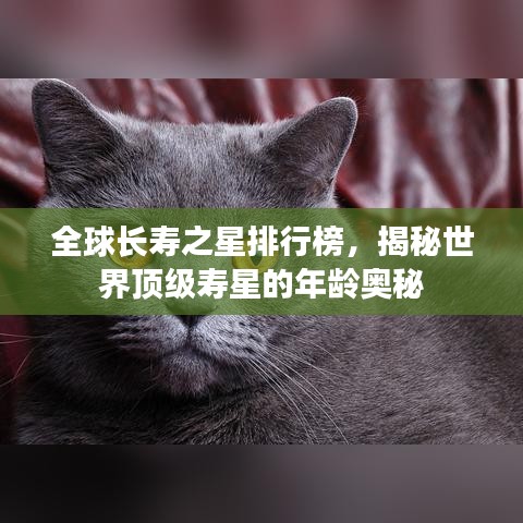 全球长寿之星排行榜，揭秘世界顶级寿星的年龄奥秘