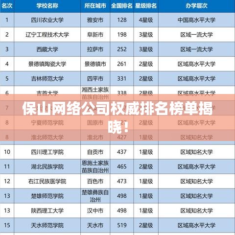 保山网络公司权威排名榜单揭晓！