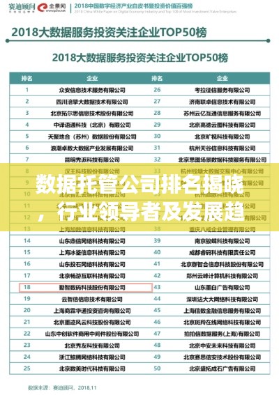数据托管公司排名揭晓，行业领导者及发展趋势一网打尽