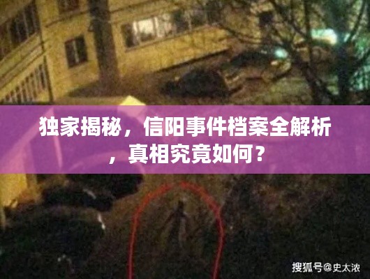 独家揭秘，信阳事件档案全解析，真相究竟如何？