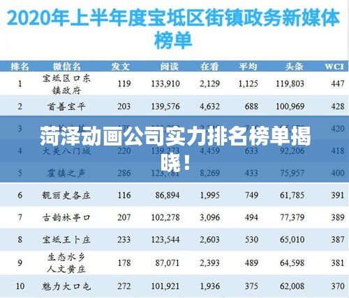 菏泽动画公司实力排名榜单揭晓！