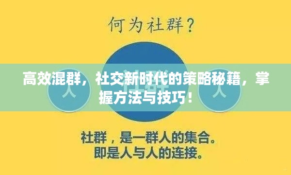 高效混群，社交新时代的策略秘籍，掌握方法与技巧！