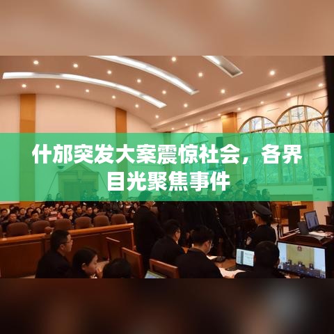什邡突发大案震惊社会，各界目光聚焦事件