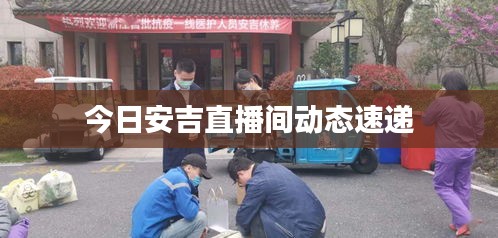 今日安吉直播间动态速递