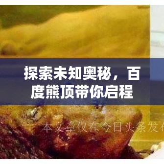 探索未知奥秘，百度熊顶带你启程