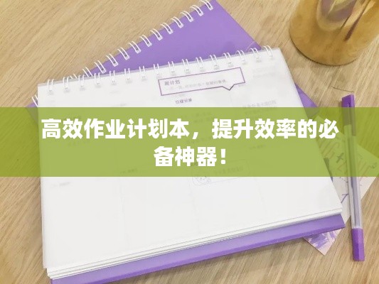 高效作业计划本，提升效率的必备神器！