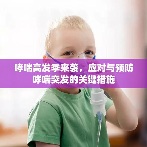 哮喘高发季来袭，应对与预防哮喘突发的关键措施