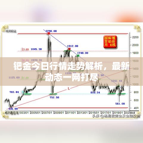 钯金今日行情走势解析，最新动态一网打尽