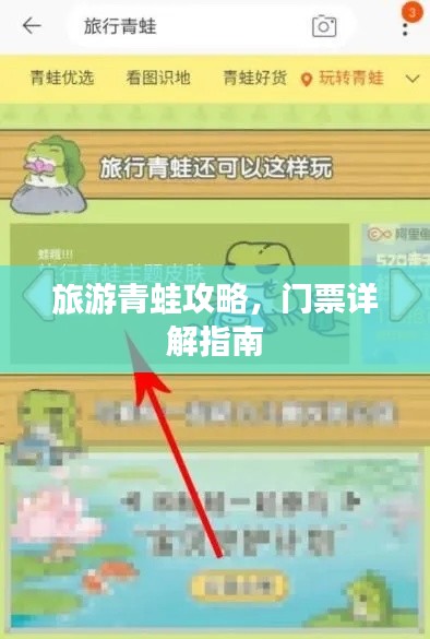 旅游青蛙攻略，门票详解指南