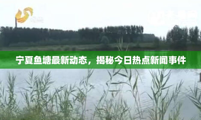 宁夏鱼塘最新动态，揭秘今日热点新闻事件