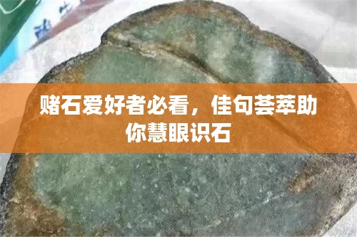 赌石爱好者必看，佳句荟萃助你慧眼识石
