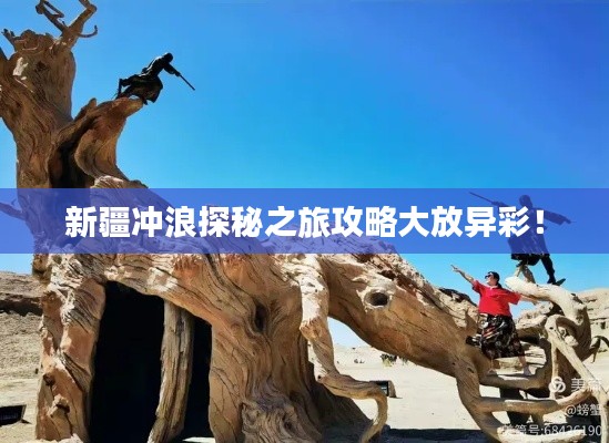 新疆冲浪探秘之旅攻略大放异彩！