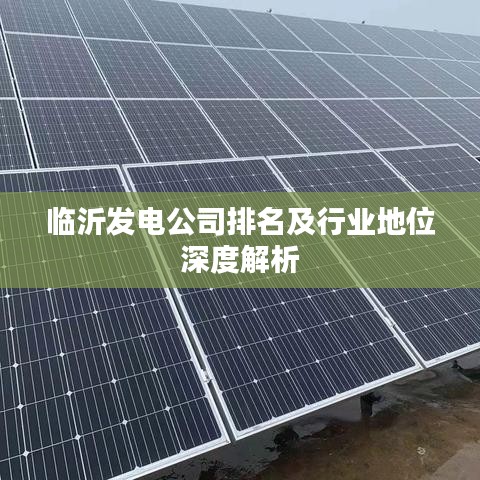 临沂发电公司排名及行业地位深度解析