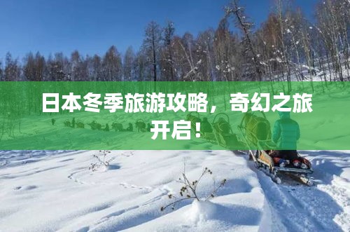 日本冬季旅游攻略，奇幻之旅开启！