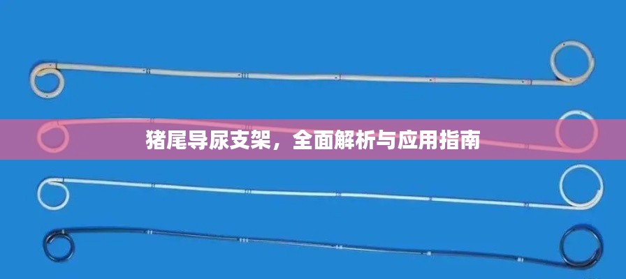 猪尾导尿支架，全面解析与应用指南