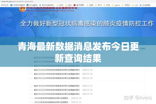 青海最新数据消息发布今日更新查询结果