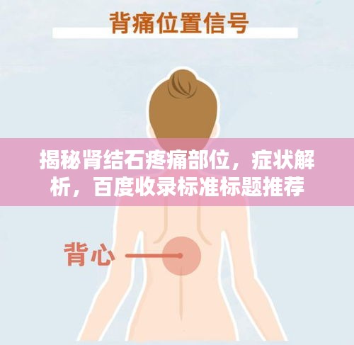 揭秘肾结石疼痛部位，症状解析，百度收录标准标题推荐
