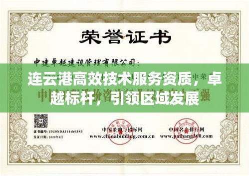 连云港高效技术服务资质，卓越标杆，引领区域发展