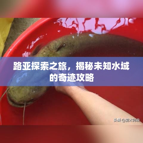 路亚探索之旅，揭秘未知水域的奇迹攻略